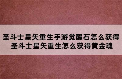 圣斗士星矢重生手游觉醒石怎么获得 圣斗士星矢重生怎么获得黄金魂